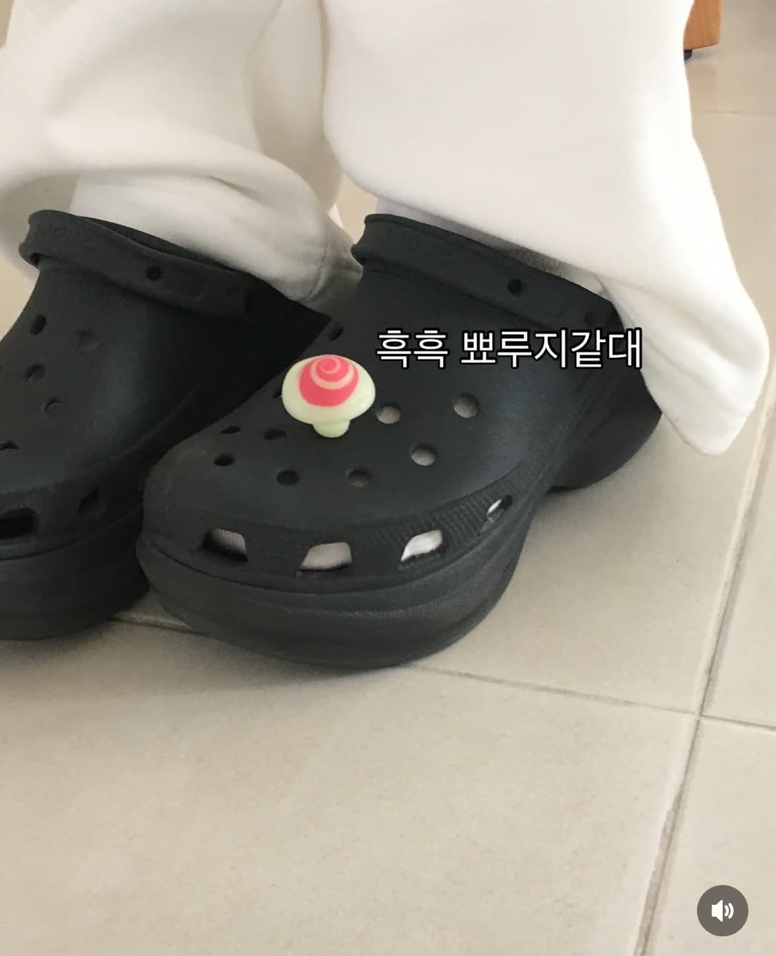 크록스 지비츠 야광 버섯쉬룸스 5개 세트 상품이미지3
