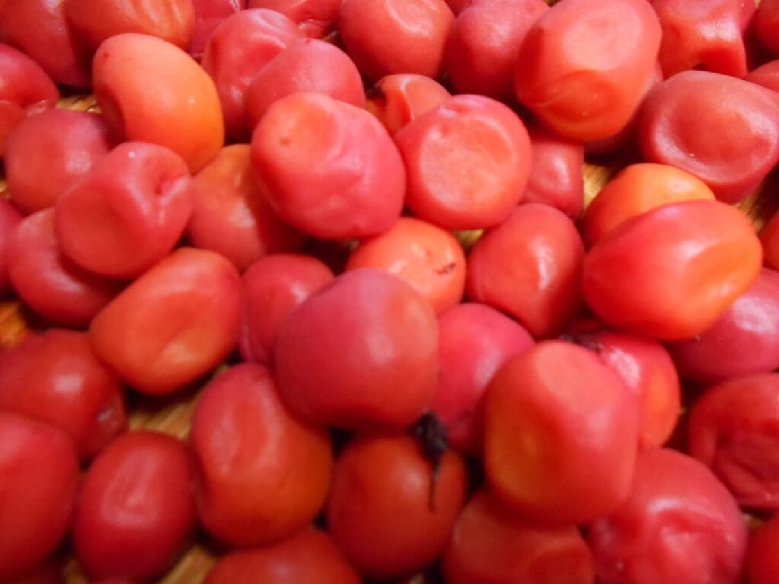 니콘 쿨픽스 Nikon COOLPIX S2600 샴페인골드 상품이미지2