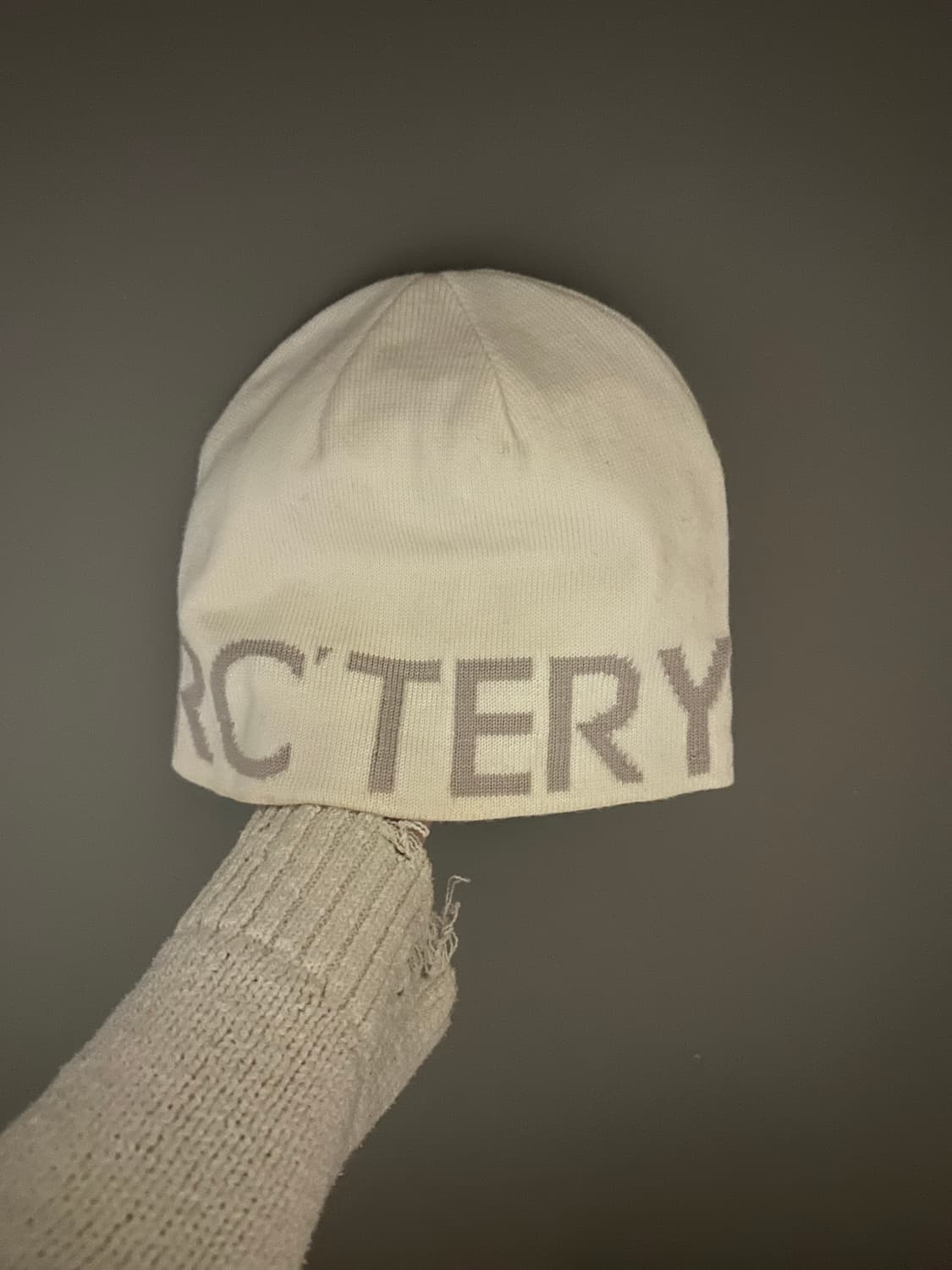 아크테릭스 비니 상품이미지1