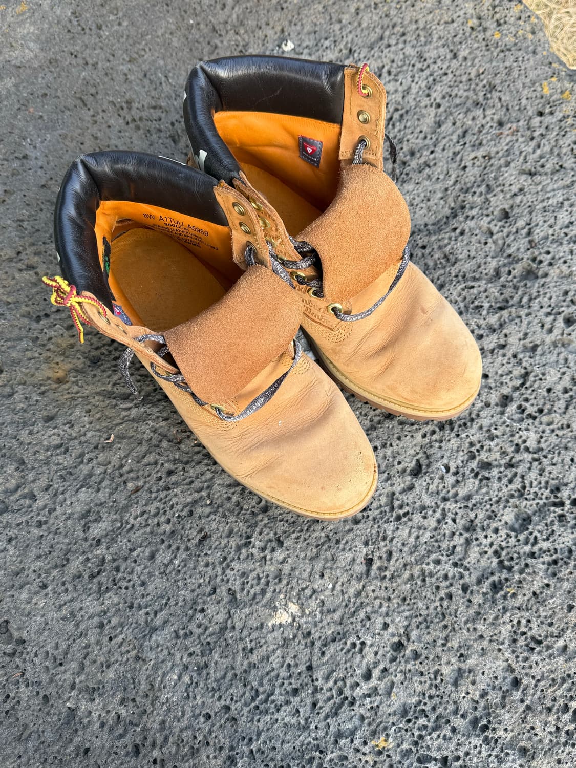 timberland 팀버랜드 6인치 상품이미지6