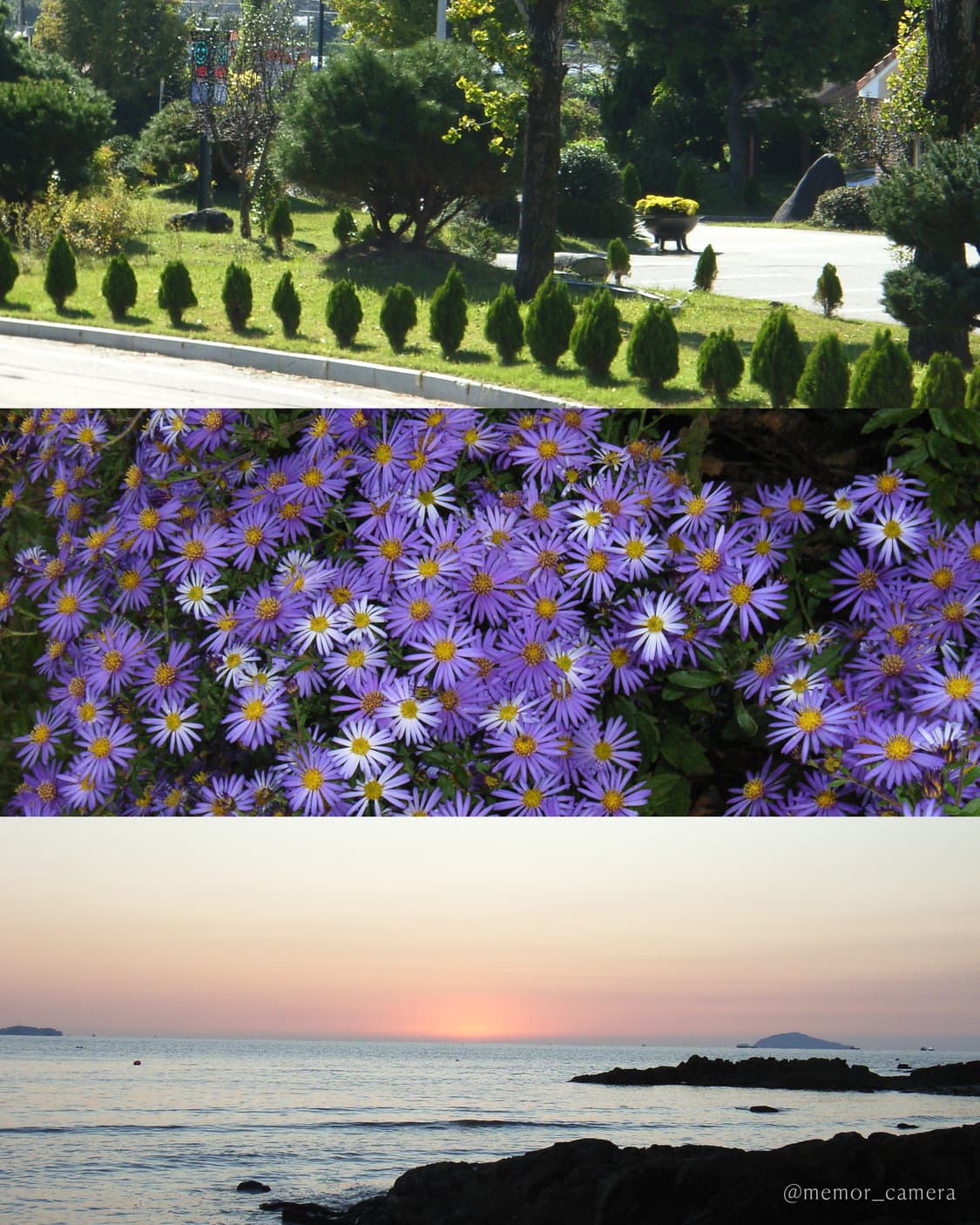 풀박스/노란기없는깨끗한느낌작례✨RICOH Caplio R2 리코 디카 상품이미지8