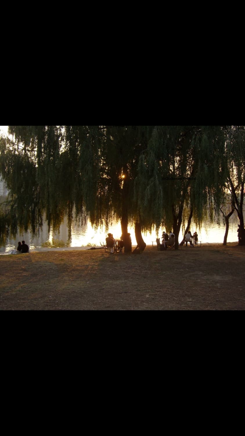 Rollei Da1325 상품이미지2