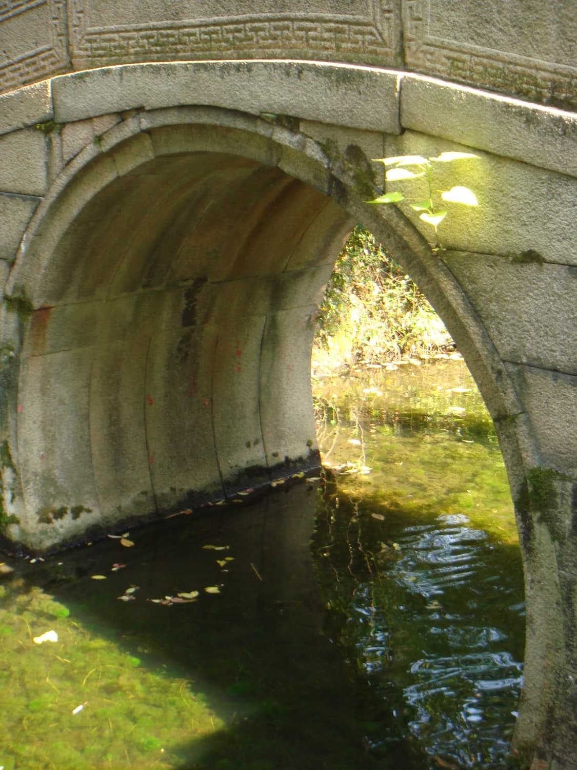 (필름감성!🫧) 소니 사이버샷 T20 | Cybershot DSC-20 상품이미지3