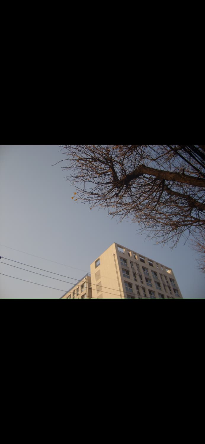 삼성 케녹스x60 디카 상품이미지9