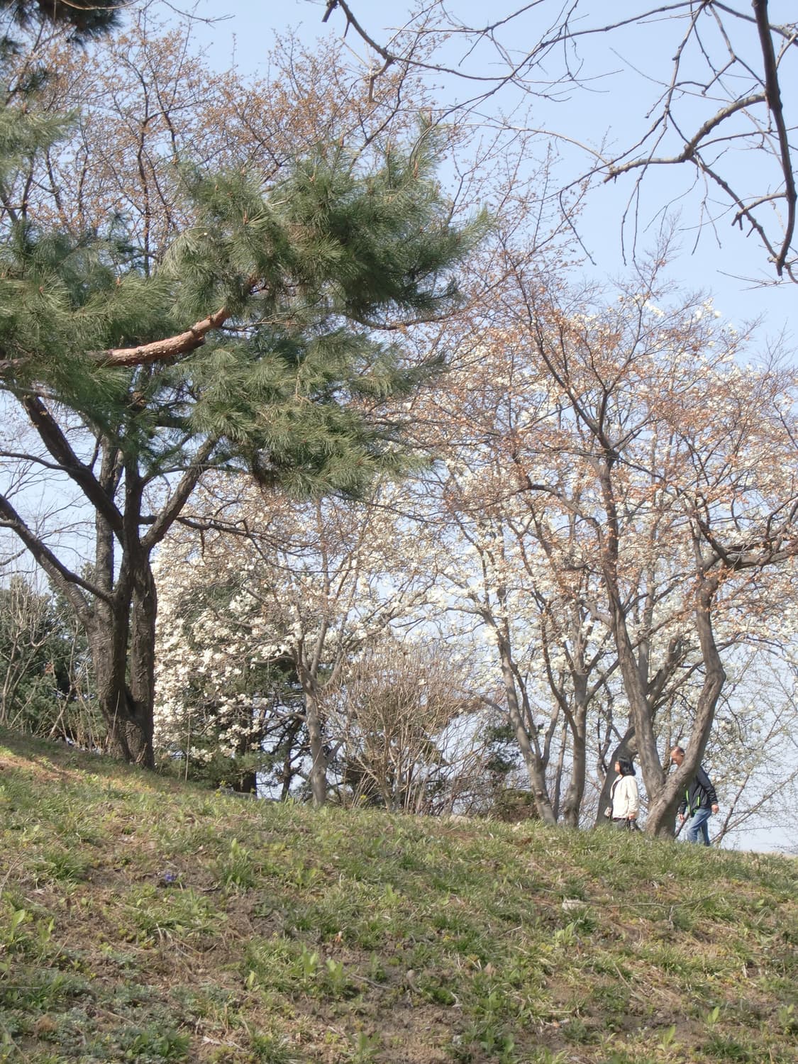 입문&강추!) Casio Exilim EX-Z700 디카 카메라 상품이미지3