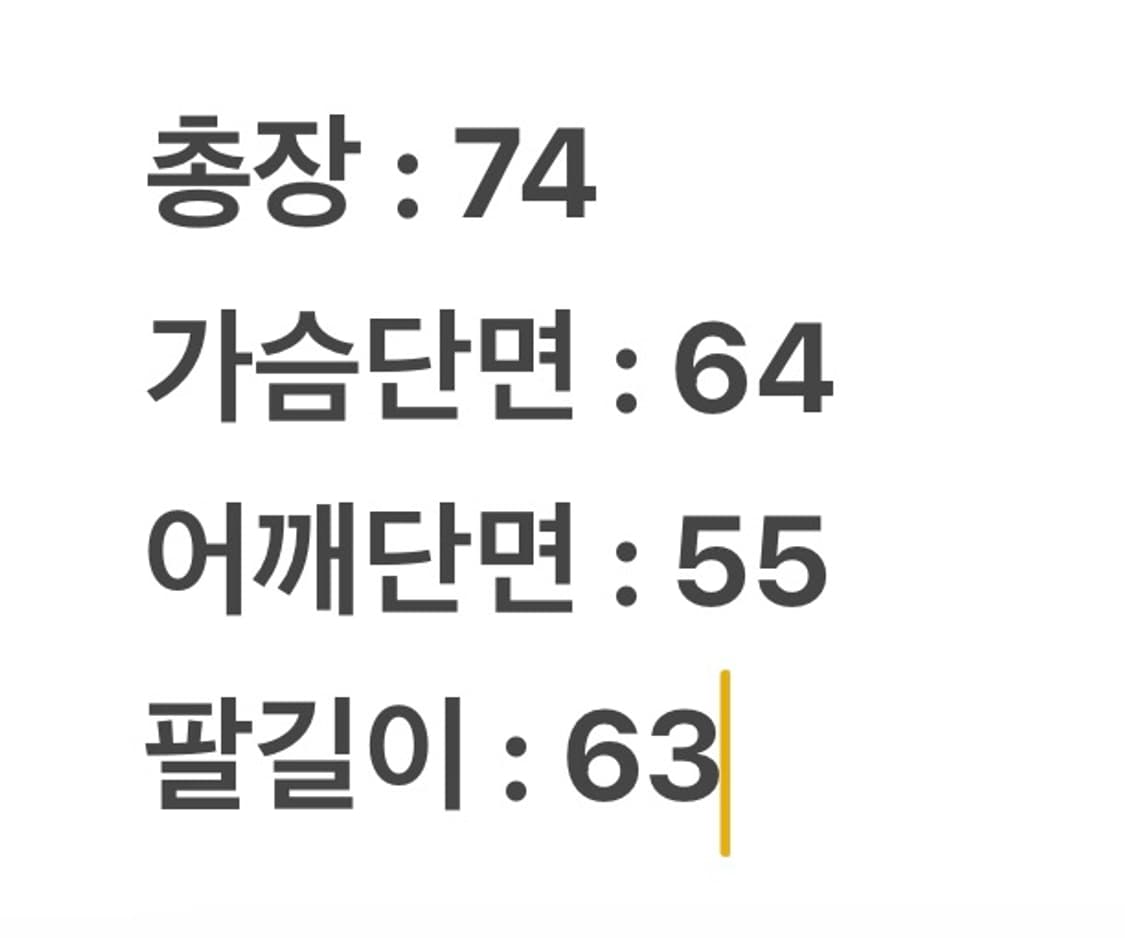 [ 정품/105 ] 노스페이스 고어텍스 바람막이 자켓 상품이미지9