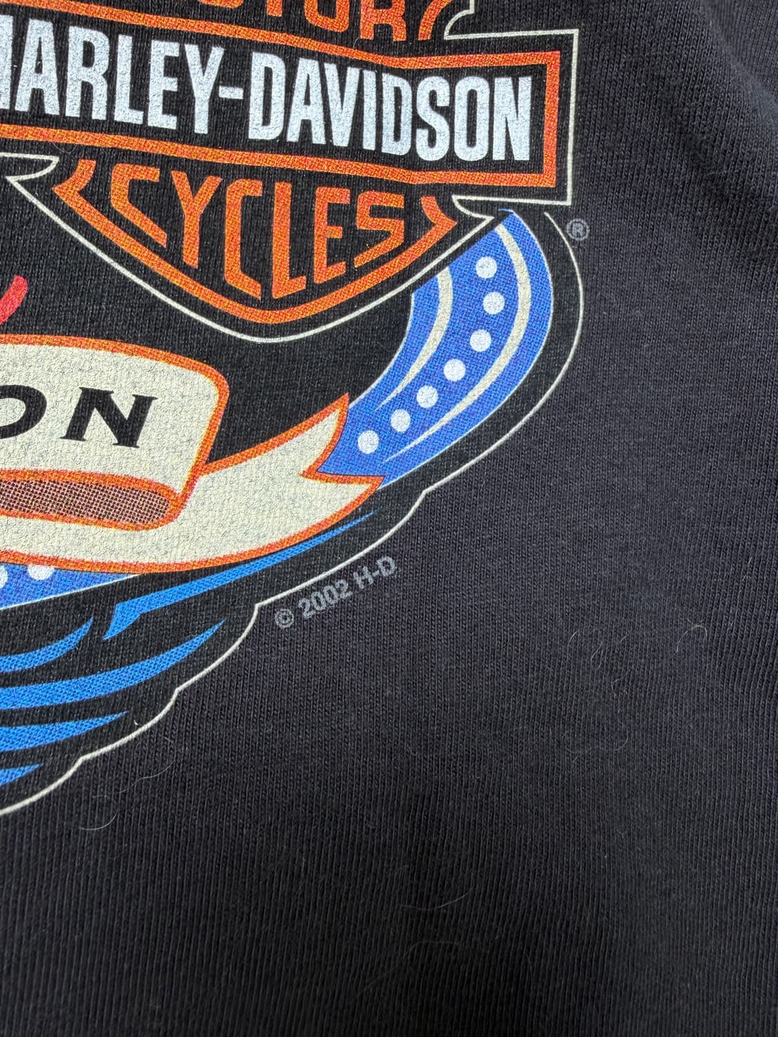 00s Harley Davidson Tee (black) 상품이미지9