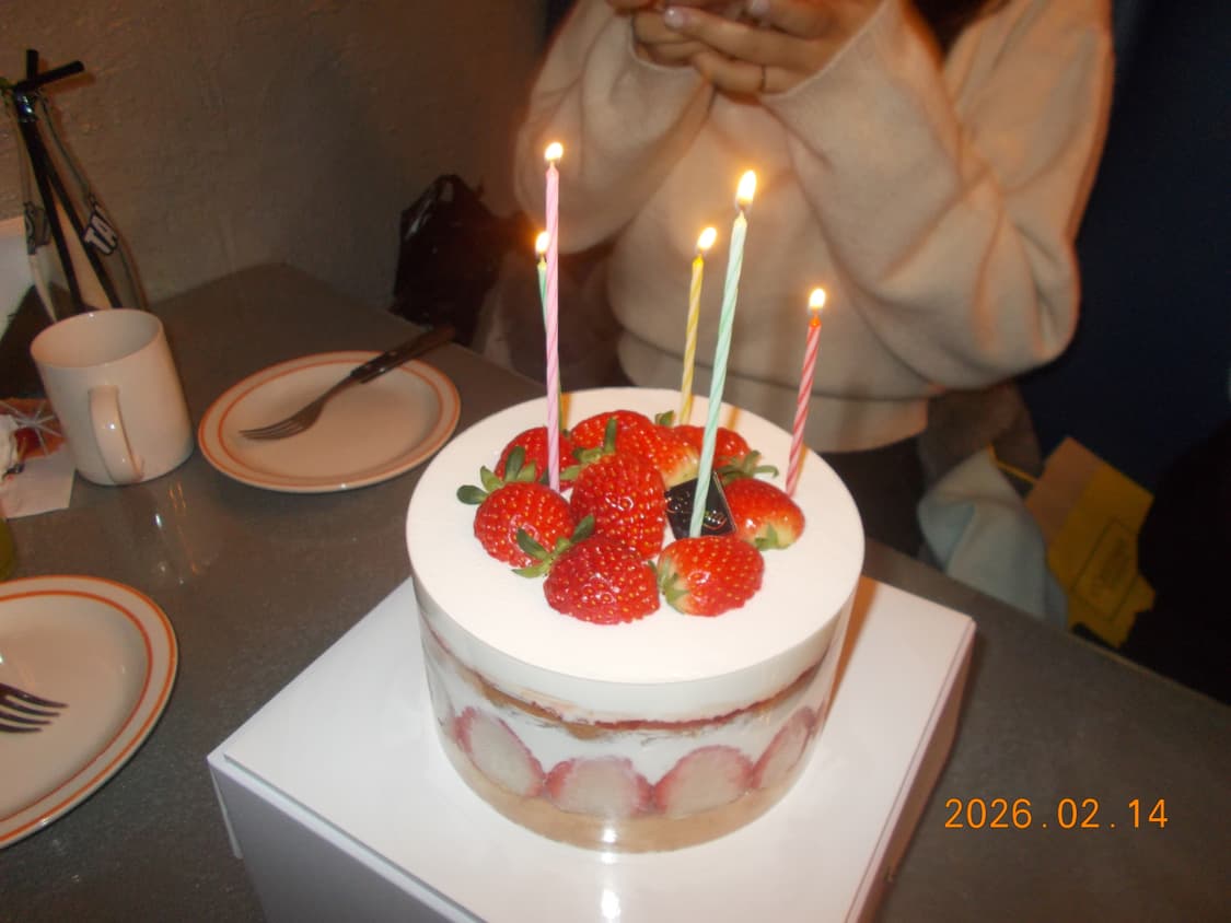 니콘 쿨픽스 a10 작례O 상품이미지7