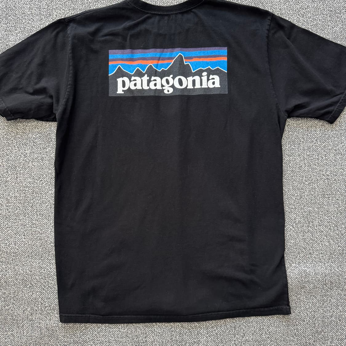 파타고니아 반팔 상품이미지2