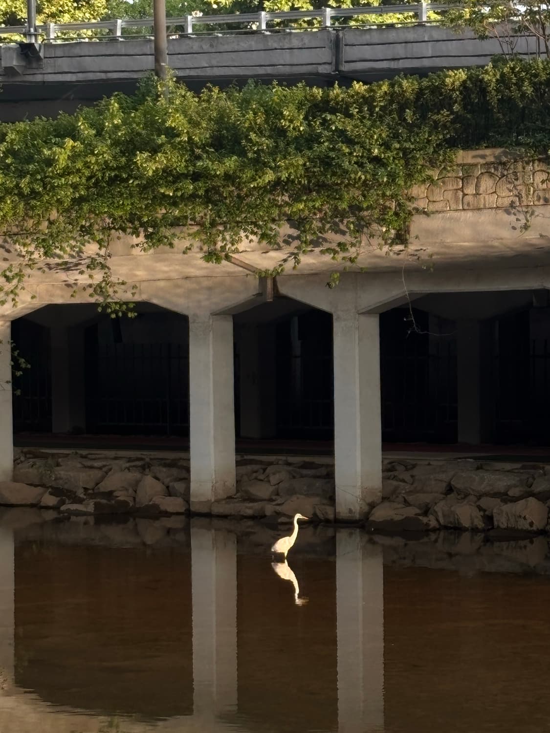 리바이스 언더커버 콜라보 자켓(재킷 컬렉션) 상품이미지6