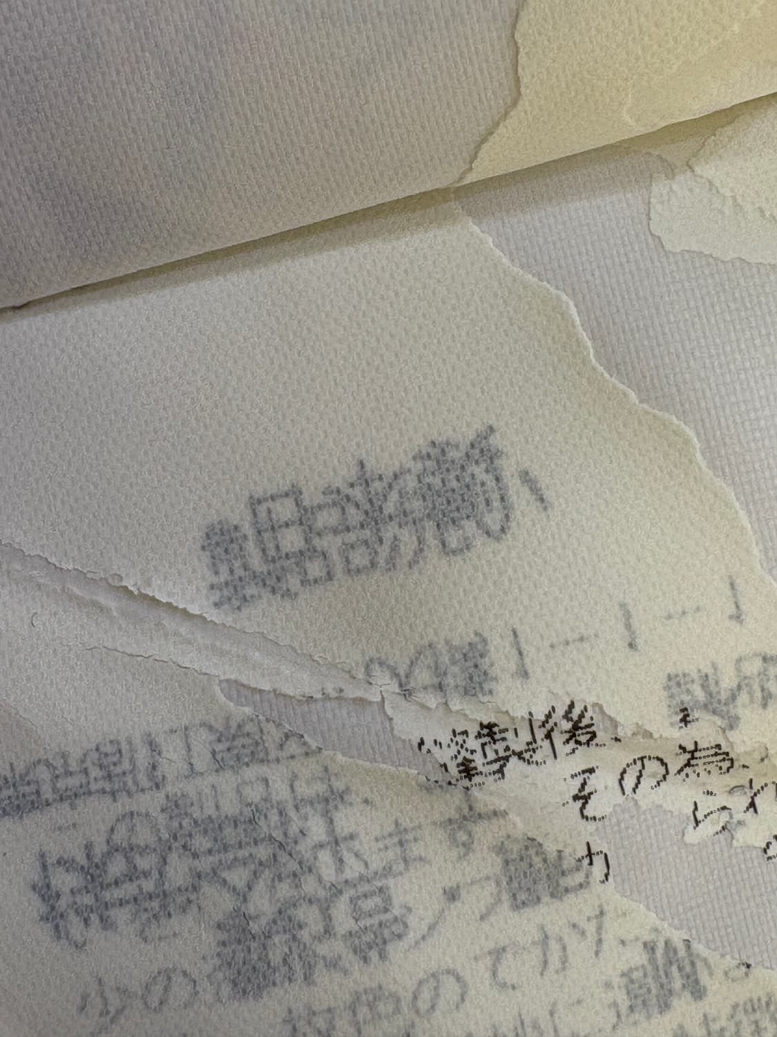 CABANE DE ZUCCA (Made in Japan) 반팔셔츠 상품이미지8