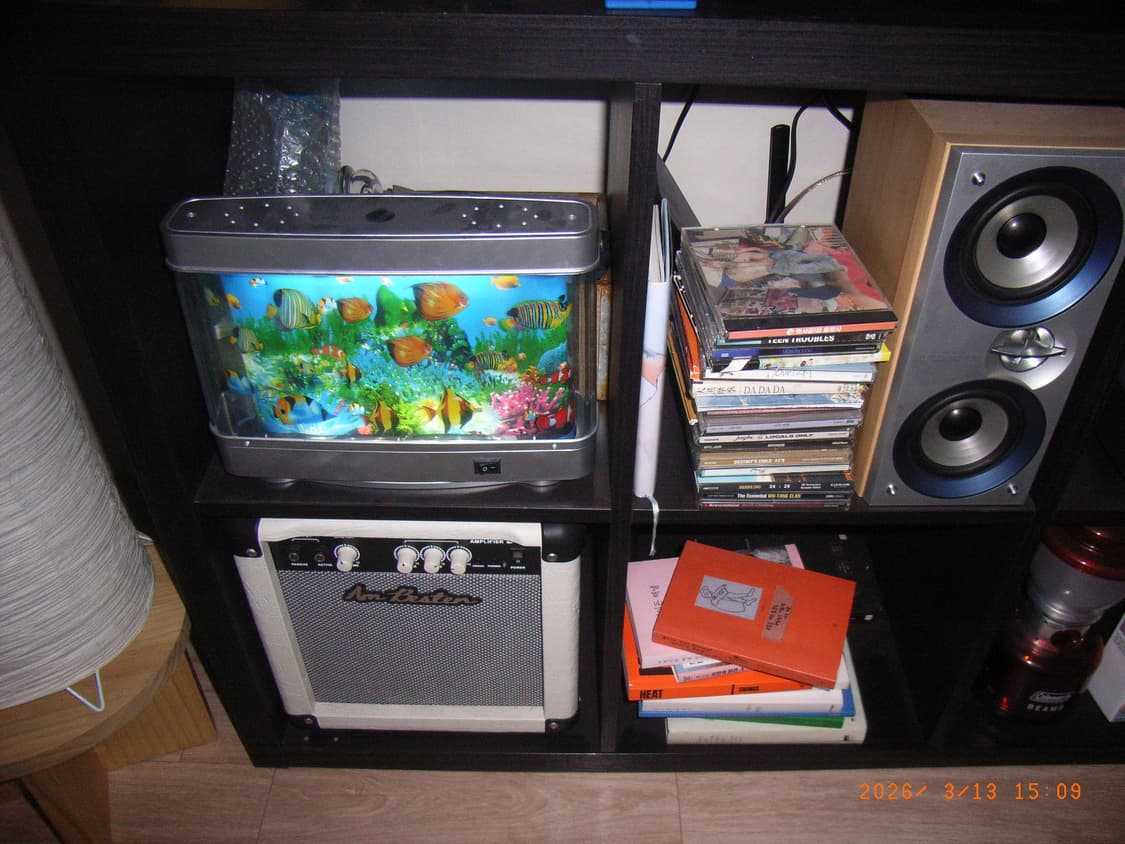 Rare작례🅾️리코 카플리오 R1v 디카 디지털카메라 상품이미지8