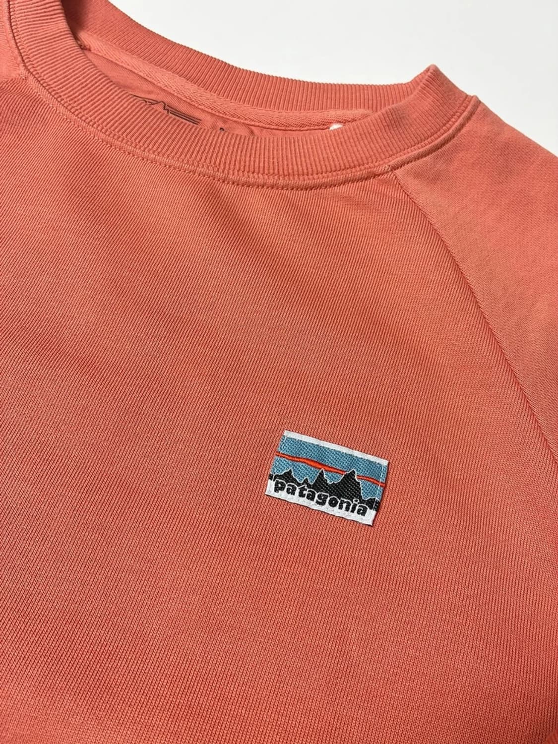 파타고니아 오가닉 코튼 에센셜 풀오버 맨투맨 PN8258 상품이미지4