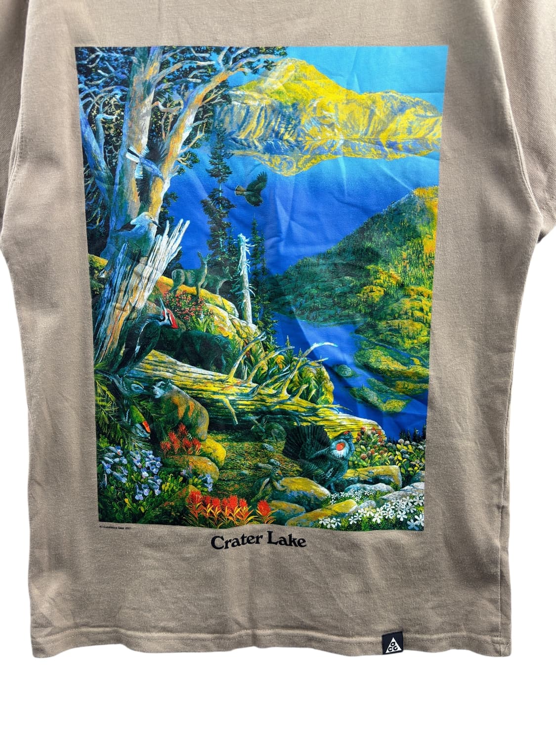 나이키 ACG 크레이터 레이크 프린팅 라운드넥1298 상품이미지5