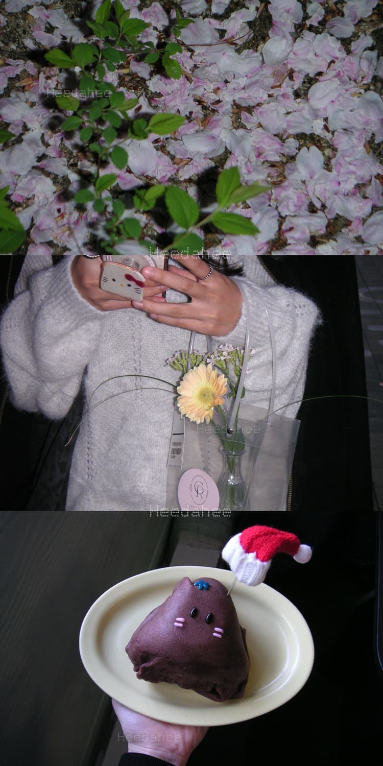 레어) 미놀타 DiMAGE Xt 작례⭕️ | 초슬림 바디 | 필름톤 상품이미지3