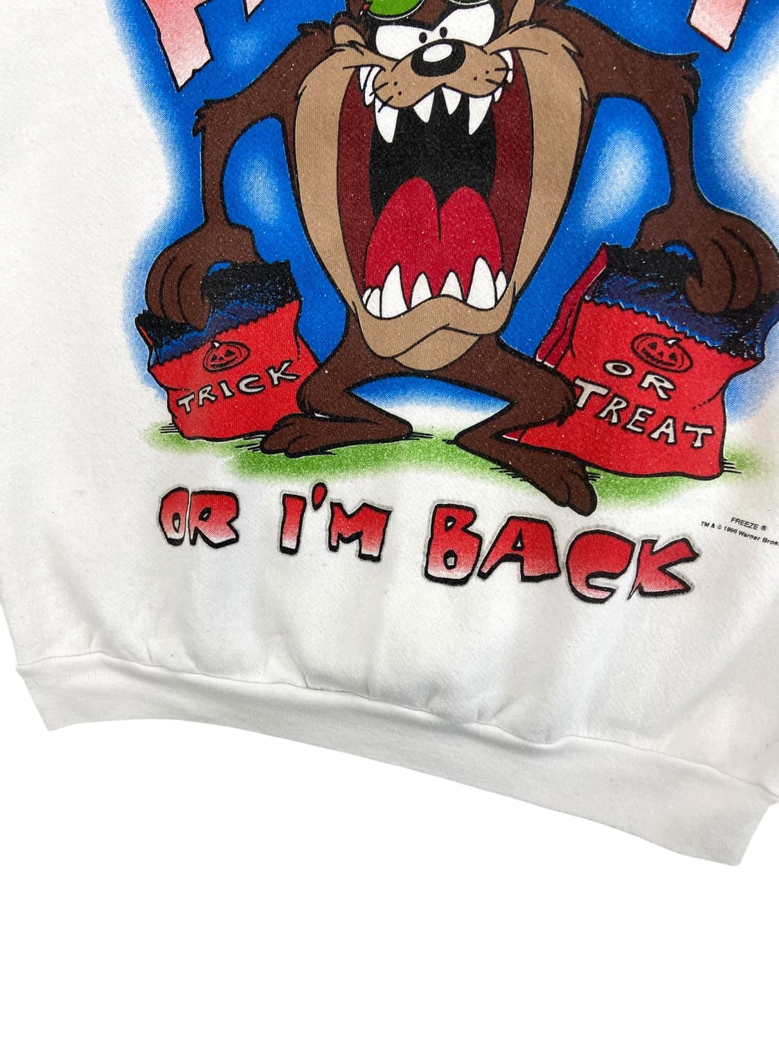 90's 루니튠즈 테즈 스웻셔츠 상품이미지4