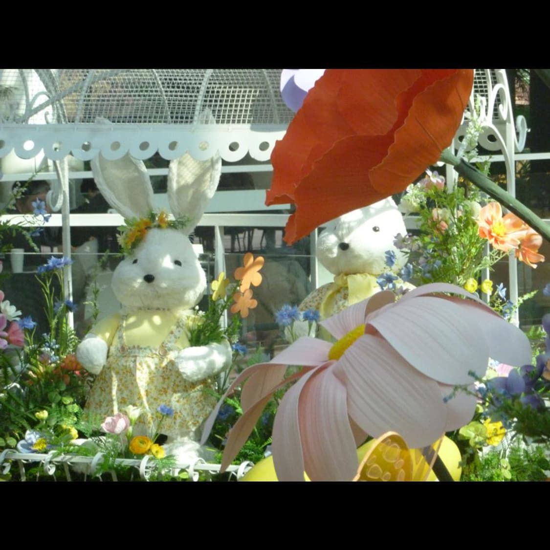 작례⭕️ 파나소닉 루믹스 DMC-FP7  빈티지 디카 디지털카메라 상품이미지5