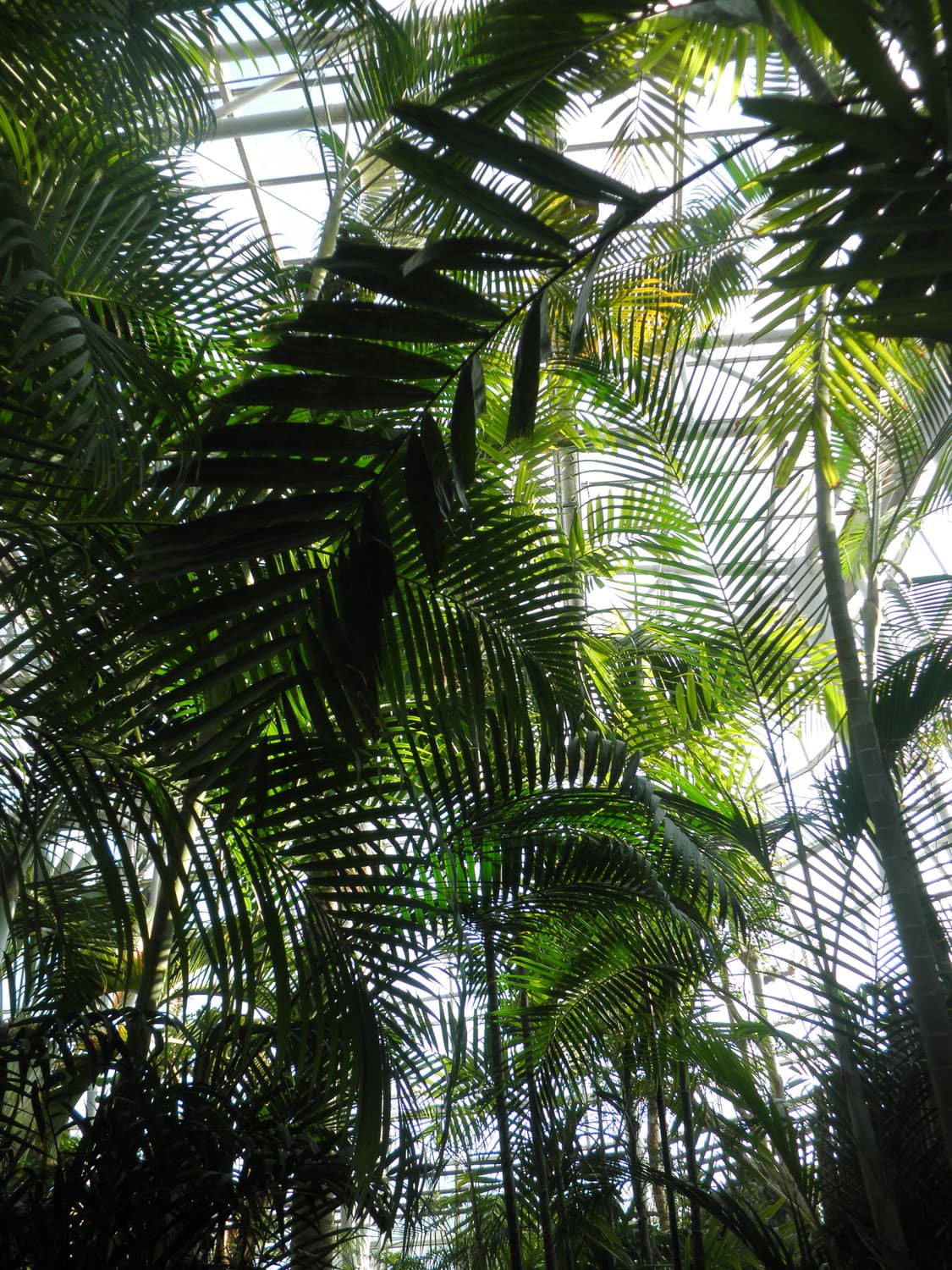 올림푸스 뮤 5010 (작례O) 상품이미지10