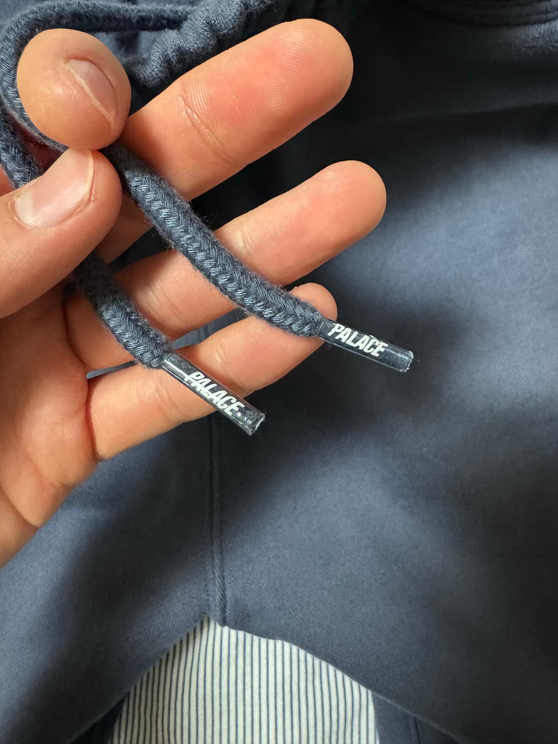 팔라스 24ss 베이지컬리 어 조거 네이비 S 상품이미지5