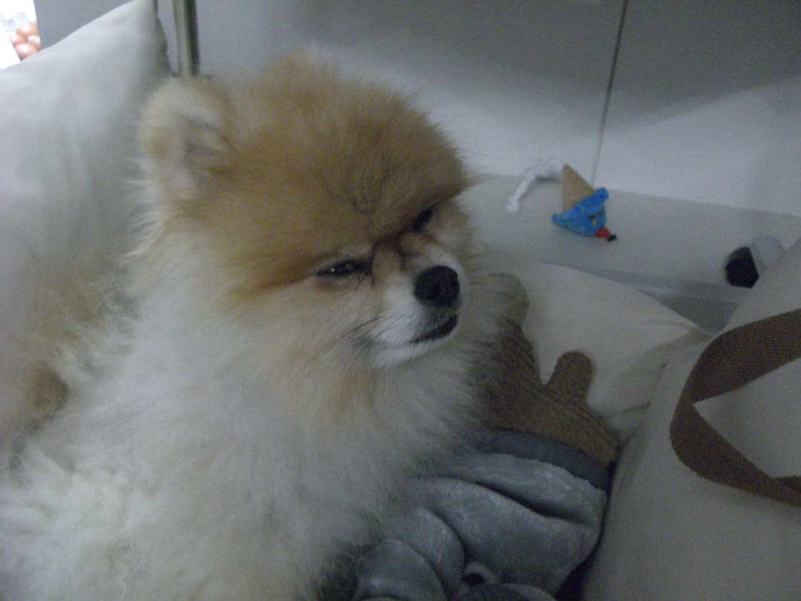 카시오 엑슬림 EX-Z700 Casio Exilim EX-Z700 빈티지 상품이미지7