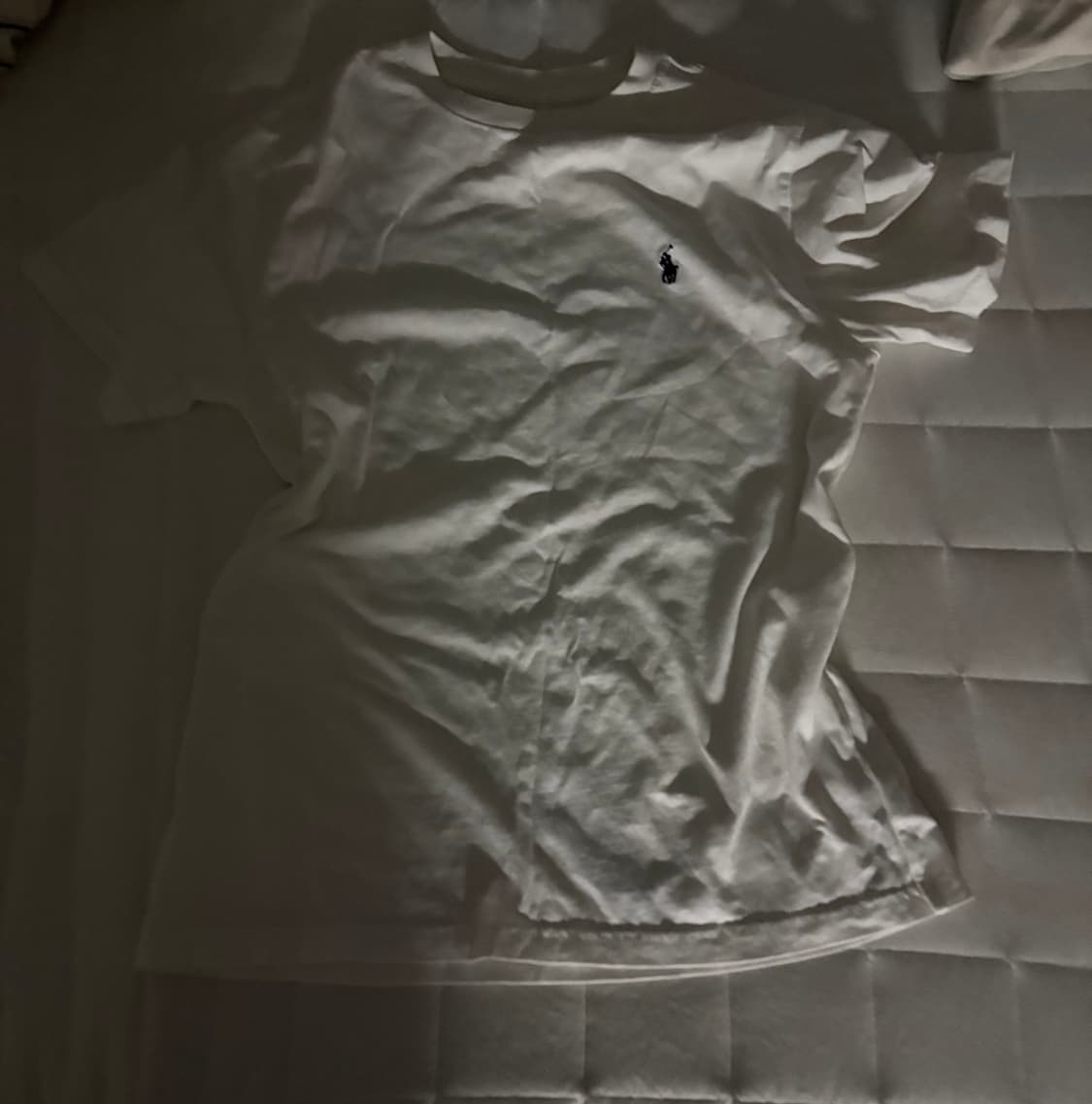 폴로 반팔티  상품이미지1