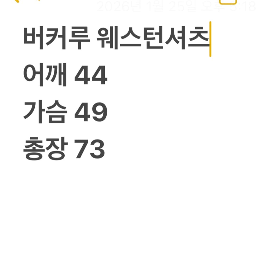 버커루 웨스턴 셔츠 상품이미지6