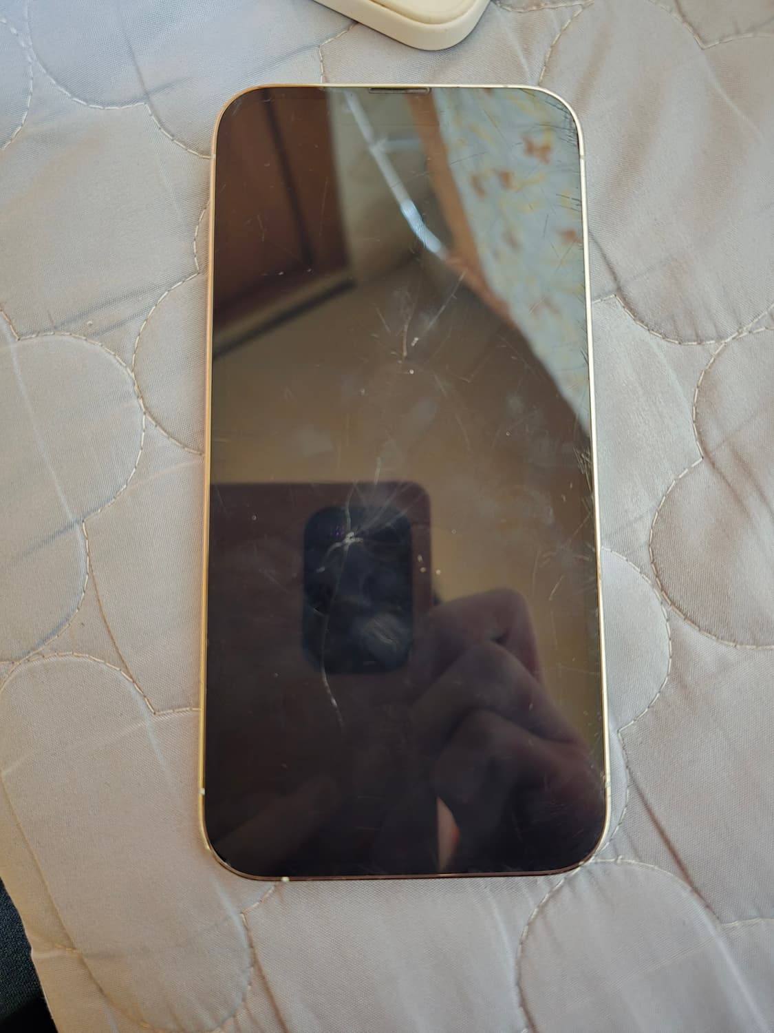 아이폰 13 pro 128gb 상품이미지10