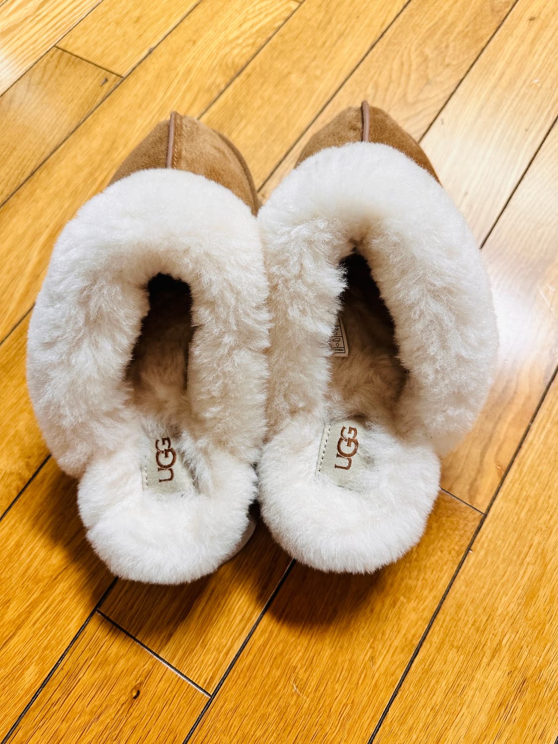 어그 디스케트 키높이 슬리퍼 체스트넛 240 상품이미지3