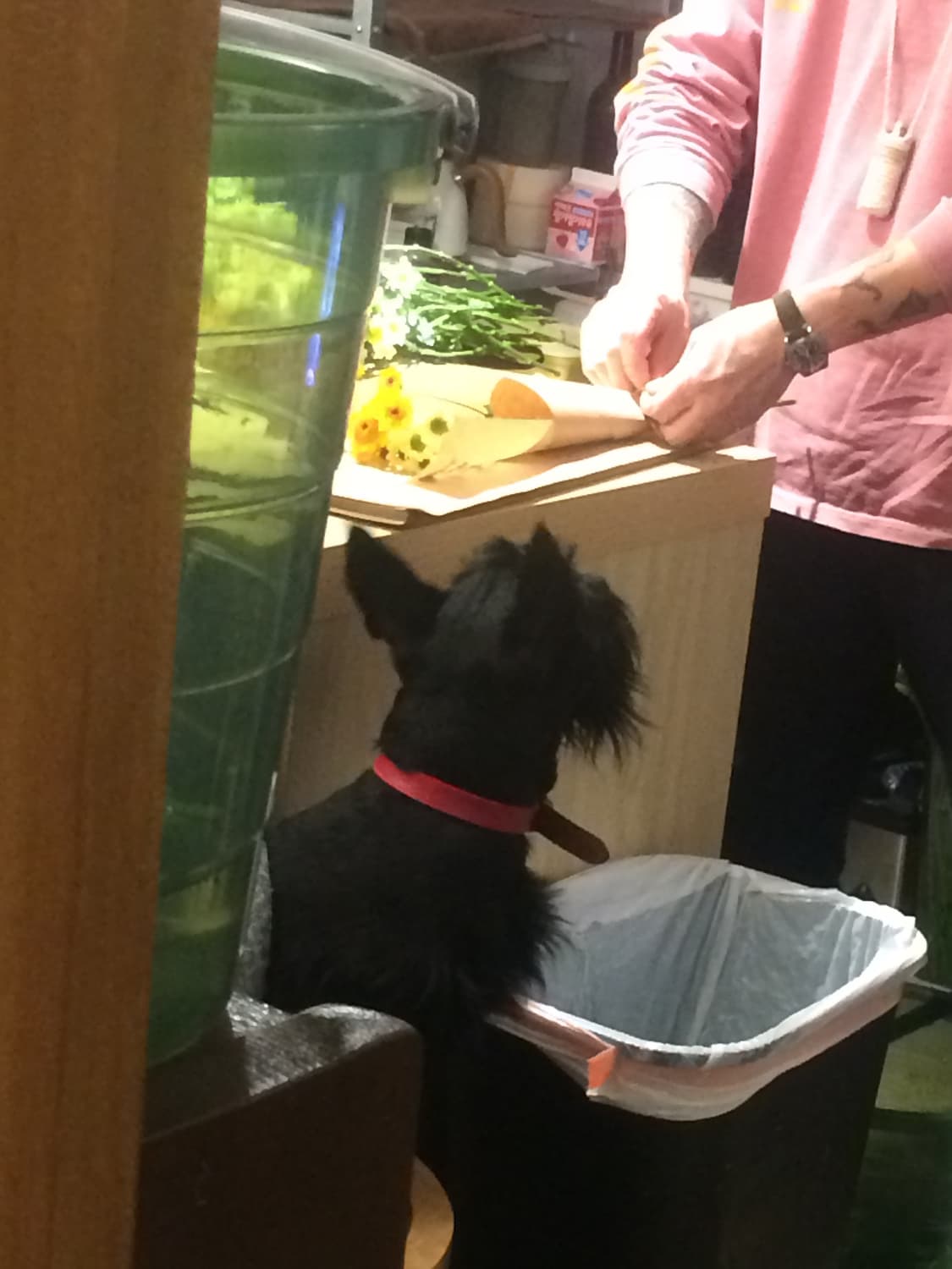 작례O) 아이폰 5S 스페이스 그레이 16gb 상품이미지8