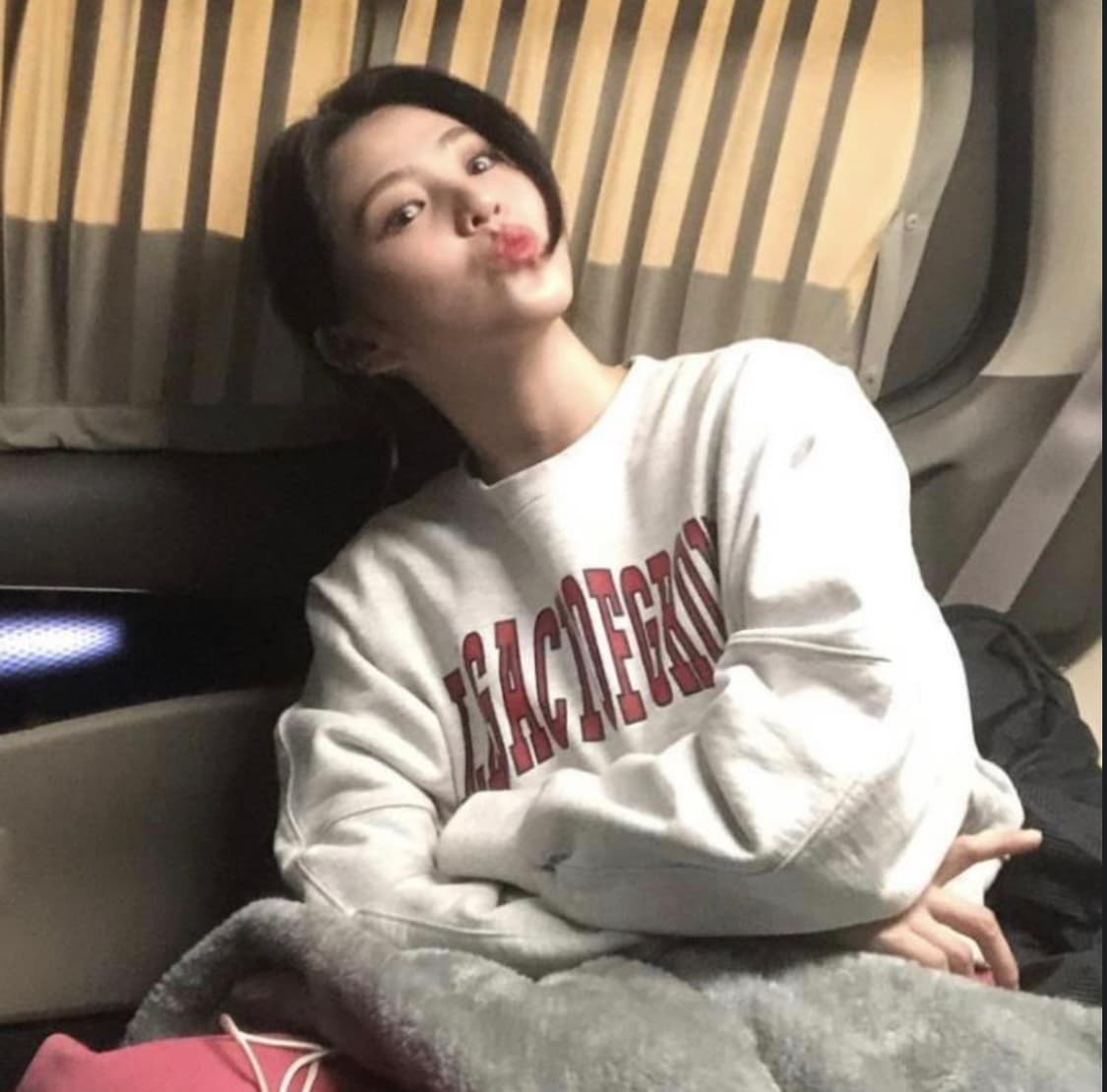 그로브 스웻셔츠 맨투맨    상품이미지2