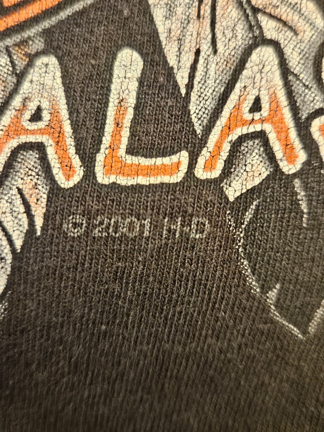 2001 USA 할리데이비슨 알래스카 주나 반팔 티셔츠(XL)/11354 상품이미지10