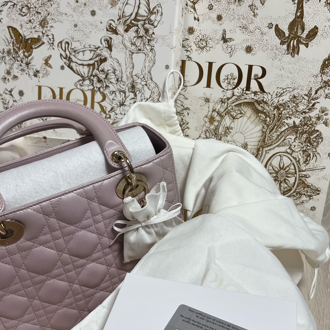 레이디디올백 펄핑크/블러쉬핑크 미듐 상품이미지1