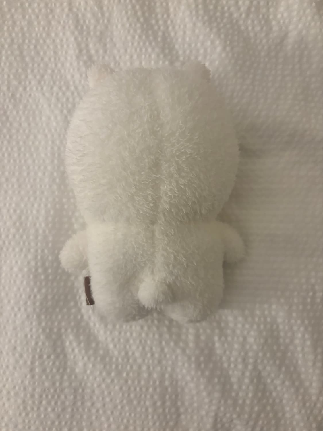 나가노마켓 보슬보슬 농담곰 상품이미지3