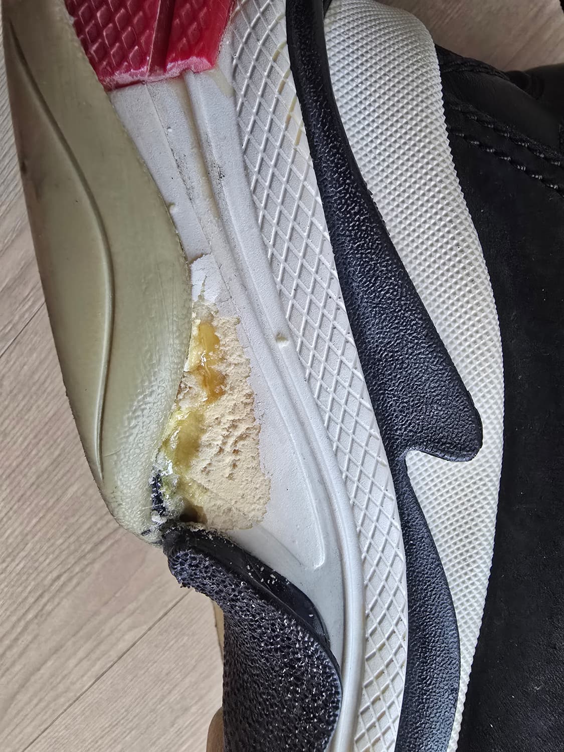 발렌시아가 44 상품이미지5