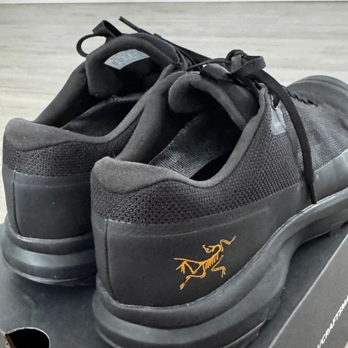  10.5 아크테릭스 에어리어스 FL GTX  남성용 블랙 고어텍스  상품이미지5