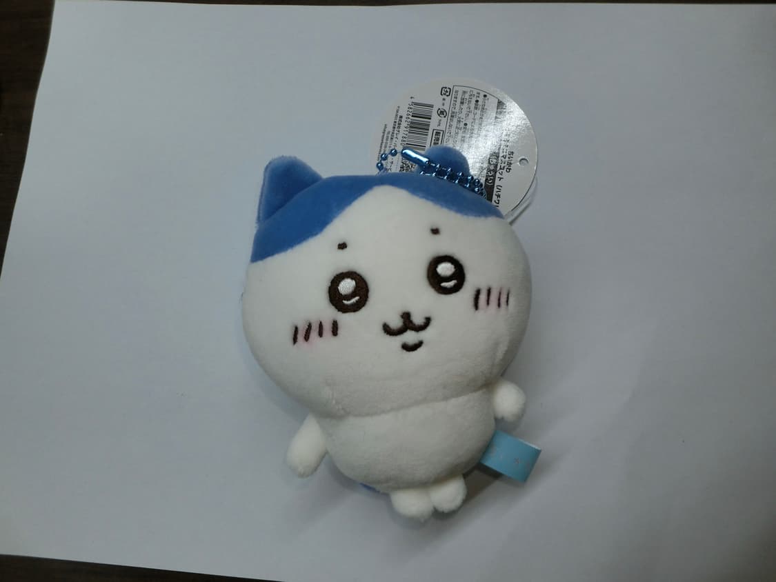 카시오 tr35(tr350s)  디지털카메라 디카 상품이미지8