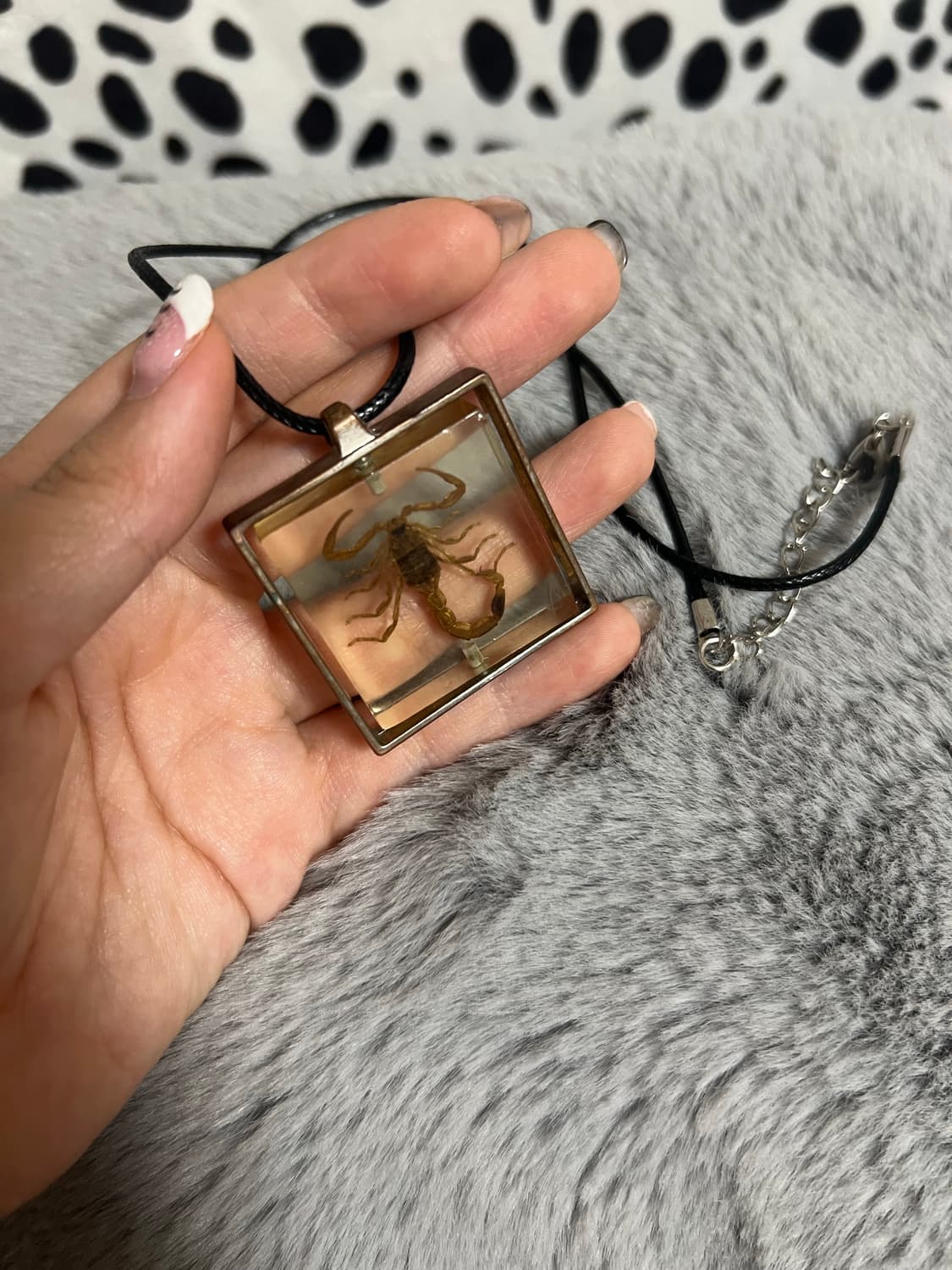 레테 전갈 박제 빈티지 팬던트 목걸이  상품이미지2