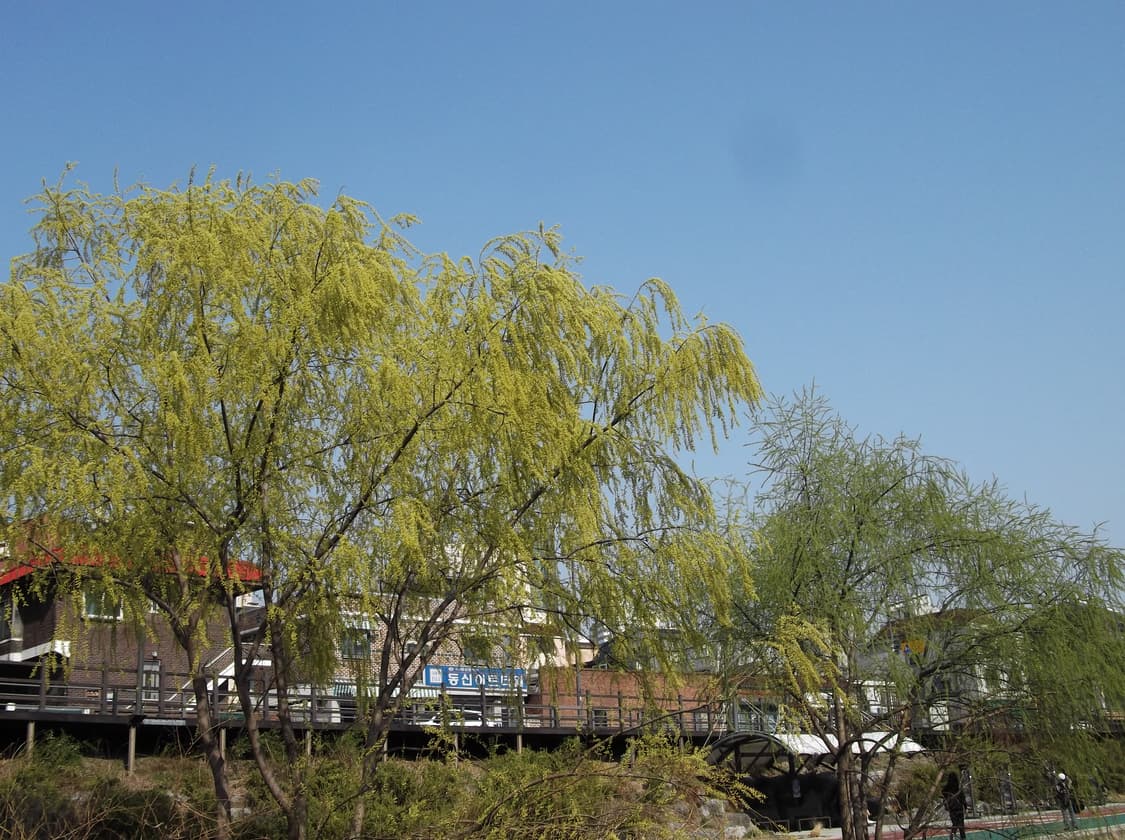 후지필름 파인픽스 AV250 작례 상품이미지7