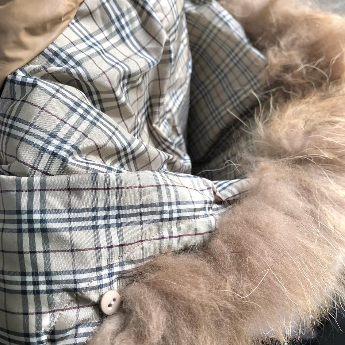 버버리 블루라벨 여성용 패딩 상품이미지10