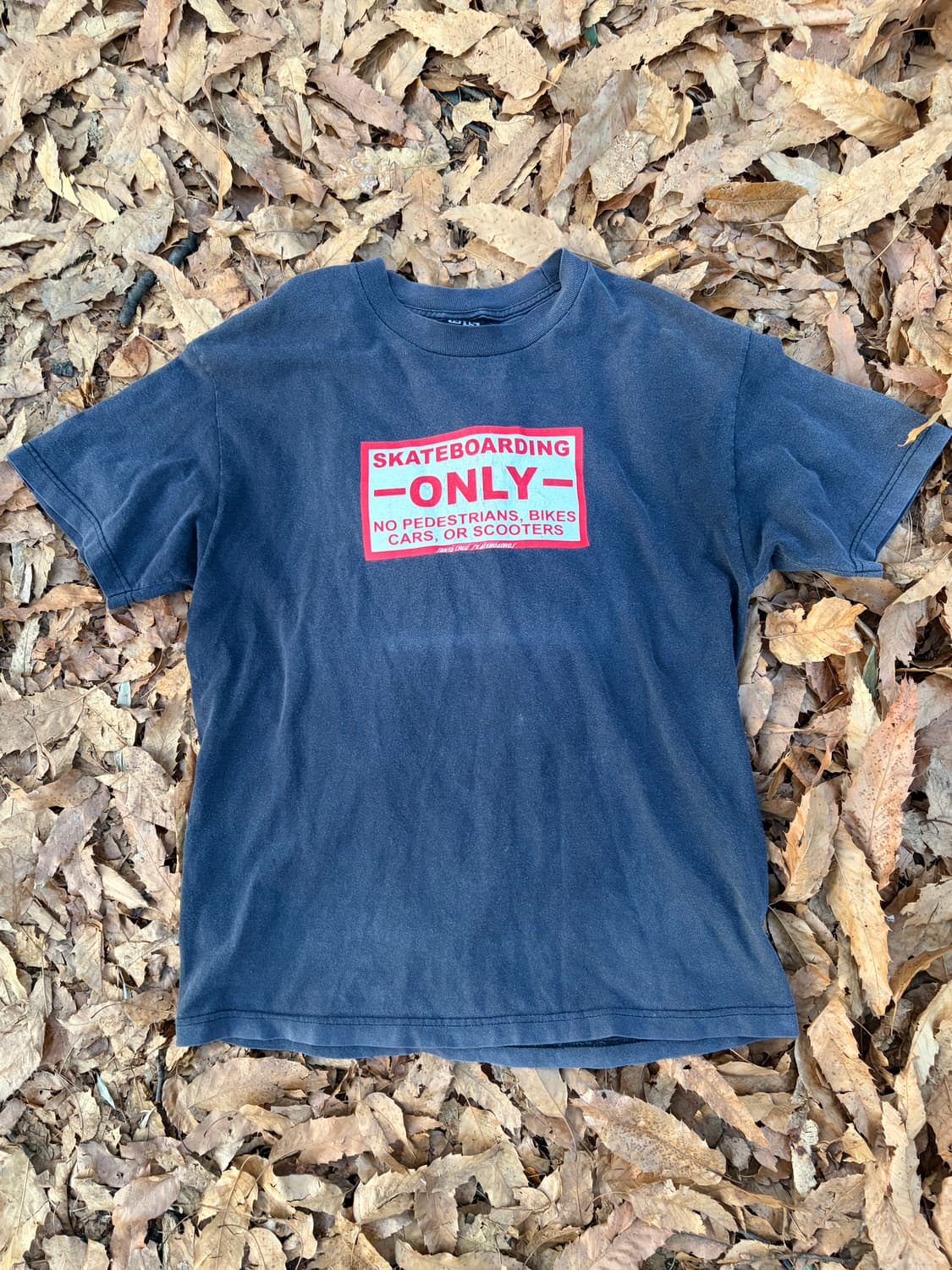 빈티지 산타크루즈 00s 핑크플로이드 스투시 ratm 상품이미지2