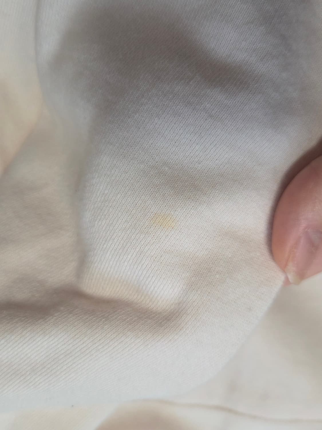 테일러 스튜디오 후드티 아이보리 상품이미지3