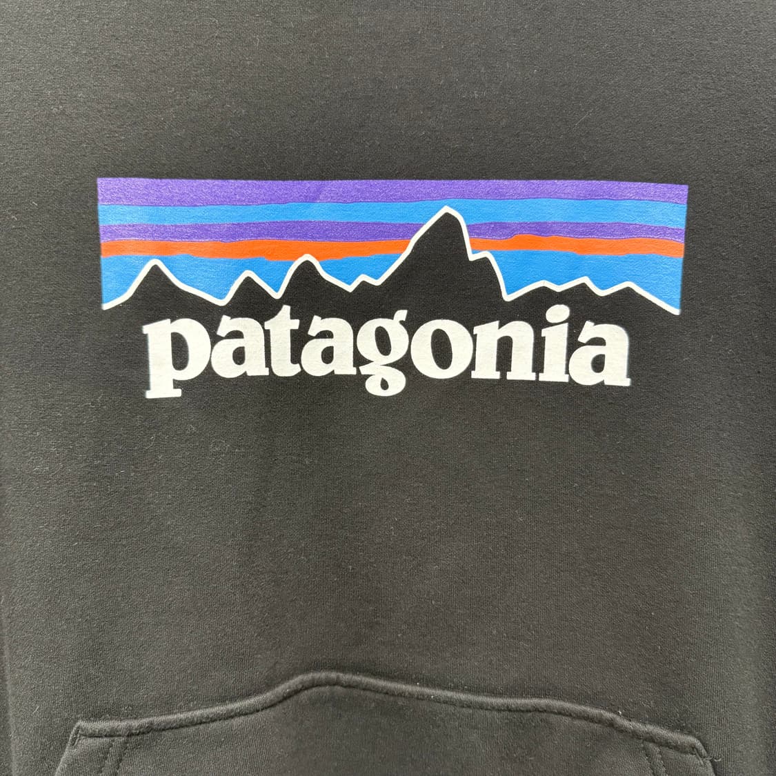 파타고니아 후드 상품이미지3