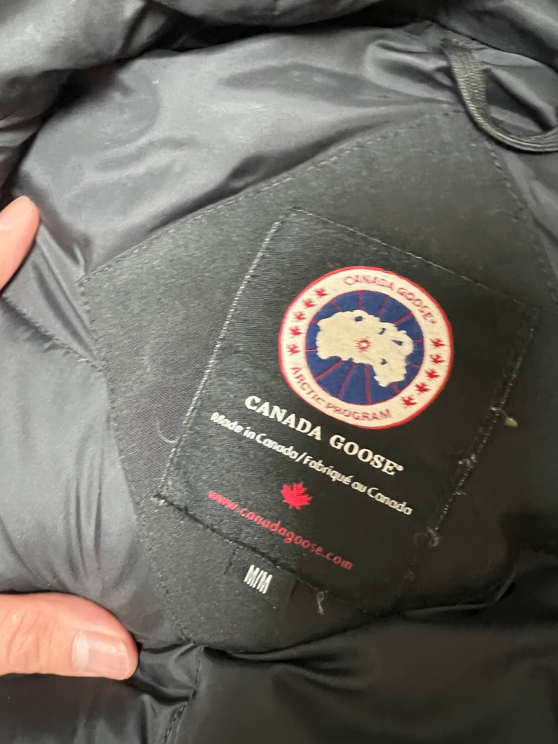 캐나다구스 패딩 m사이즈 상품이미지4