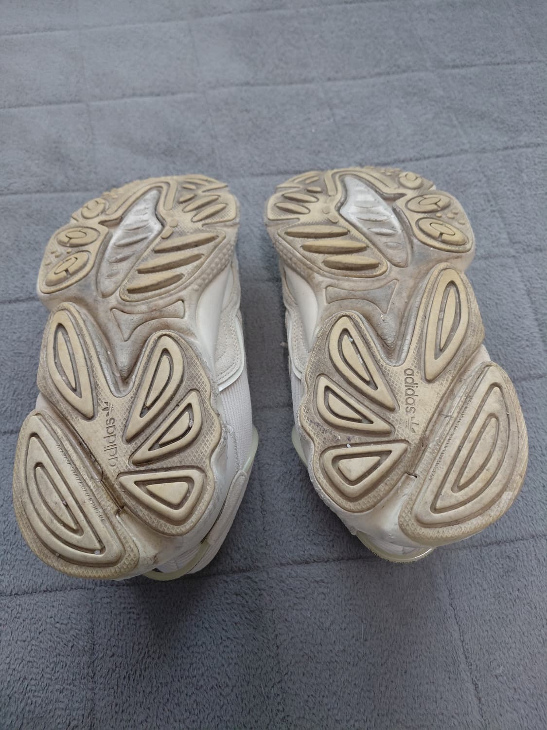 아디다스 오즈위고 클리어 브라운 265 상품이미지9