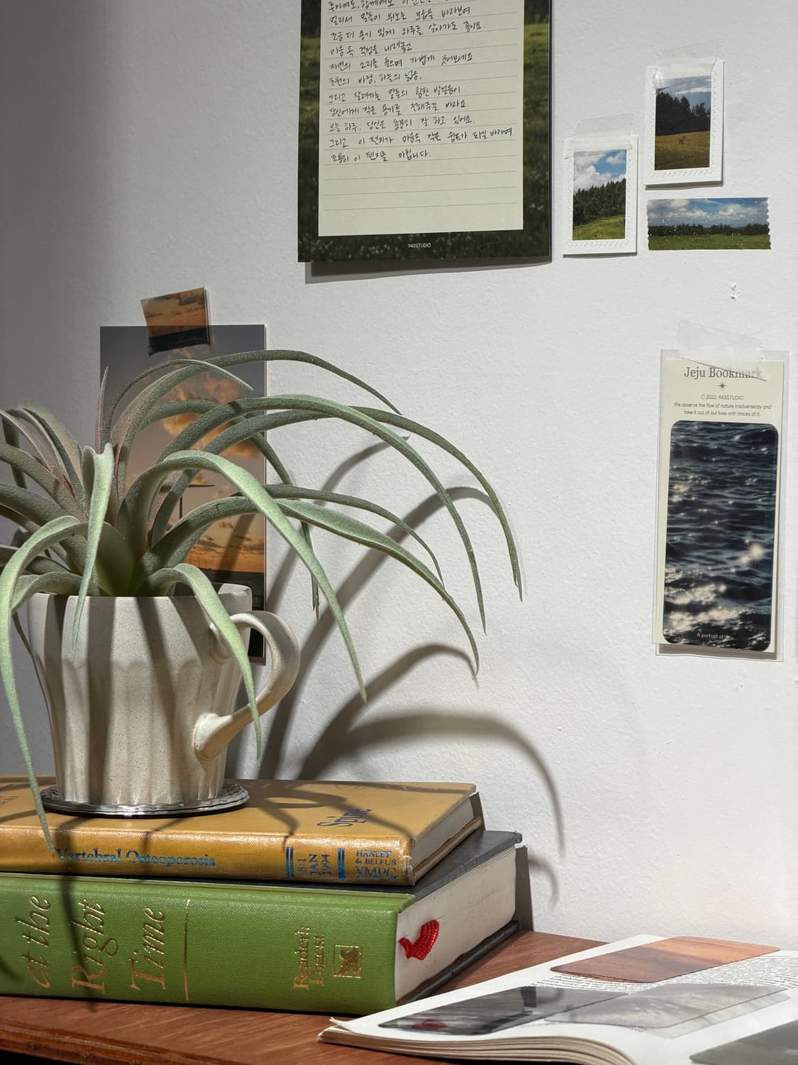 canon IXY70(IXUS 60) 캐논 익시70(익서스60) 상품이미지5