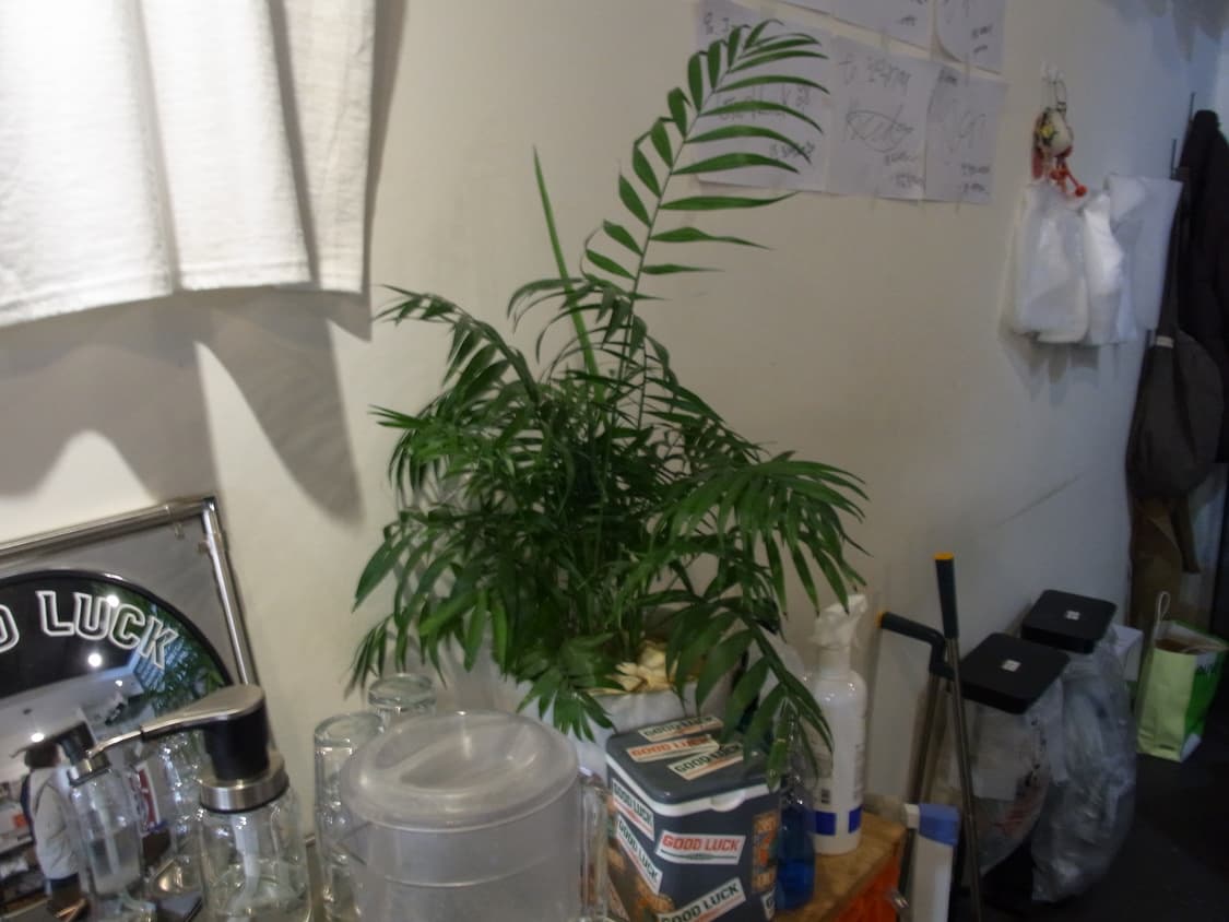 (필카색감, 작례O) Ricoh 리코 cx2 빈티지 카메라 상품이미지7