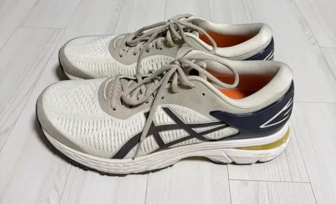 290] 아식스 x 레이닝 챔프 젤카야노 25 상품이미지2