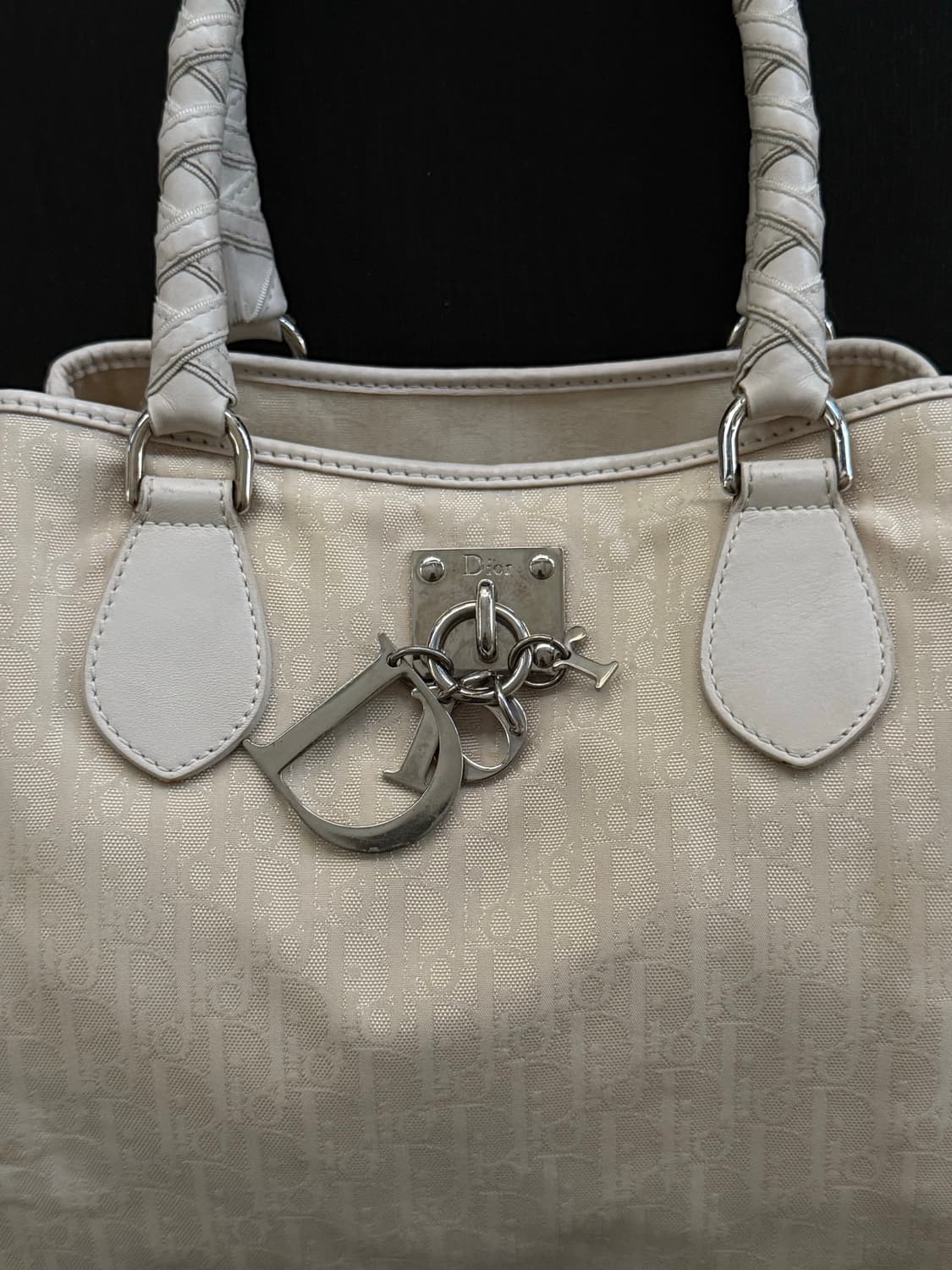 DIOR 디올 오블리크 디올리시모 토트백 상품이미지2