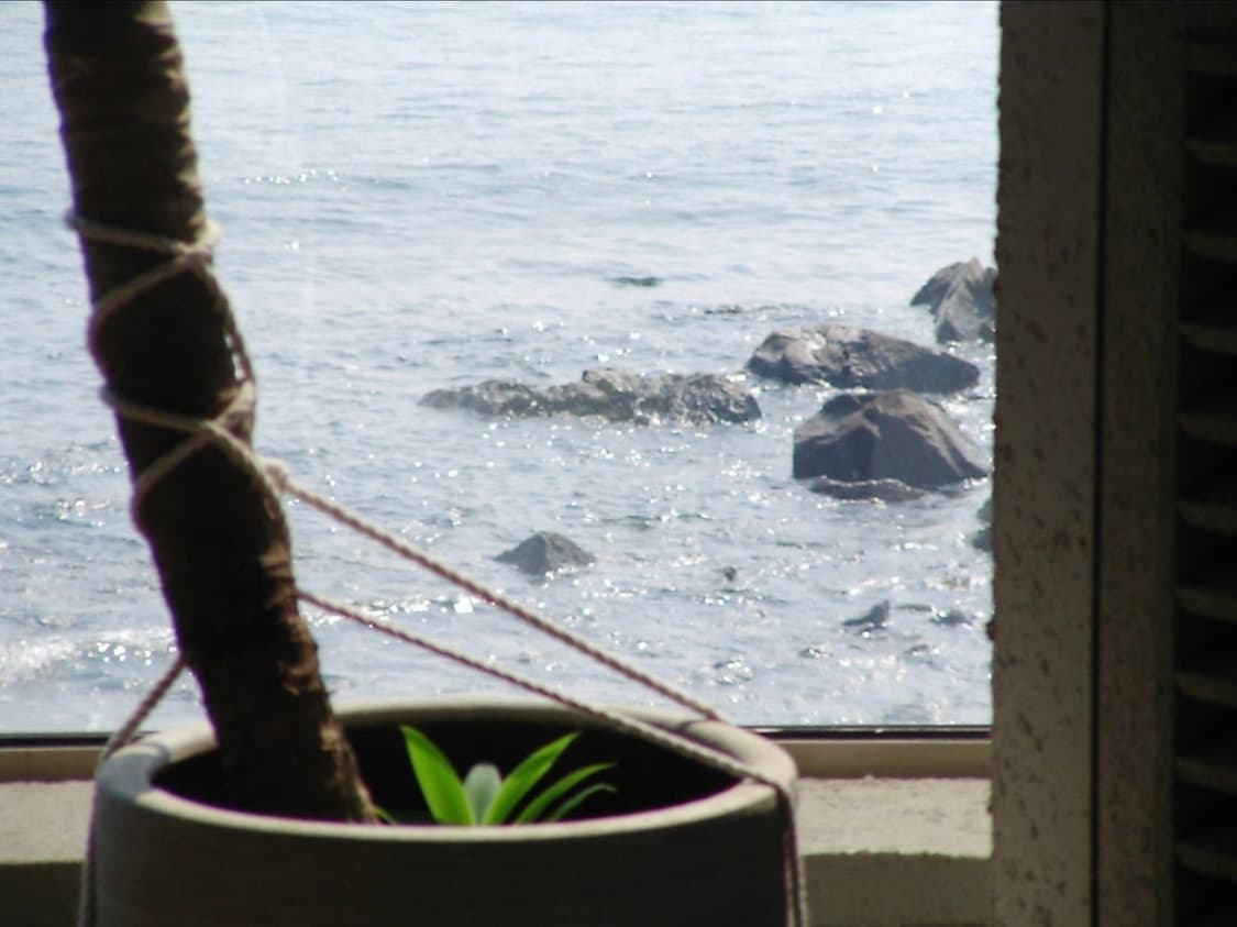 풀구성 산요작티 DMX-C1 SANYO XACTI C1 빈티지캠코더 디카 상품이미지10