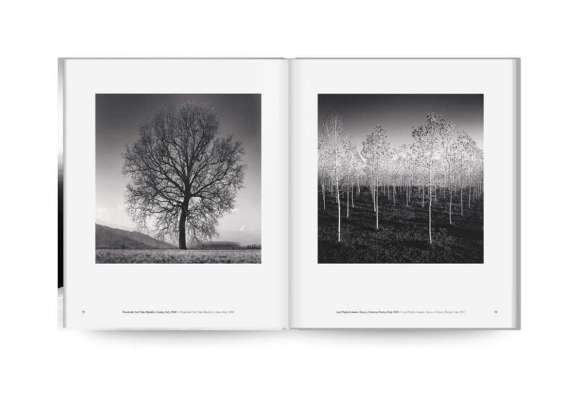 미개봉 / Michael Kenna Trees 마이클케냐 사진집 상품이미지7